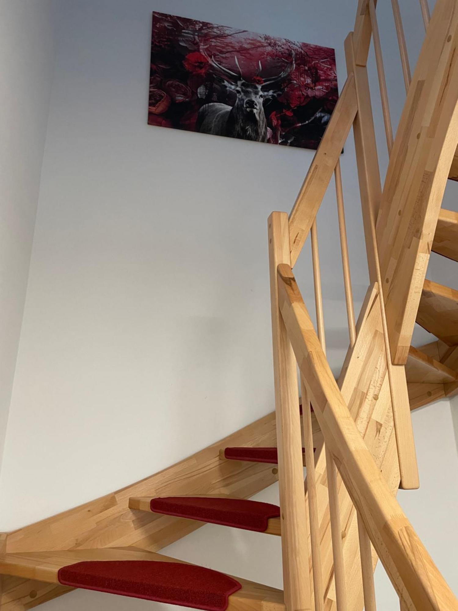Ferienwohnung Im Gruenen Oranienburg Exteriör bild